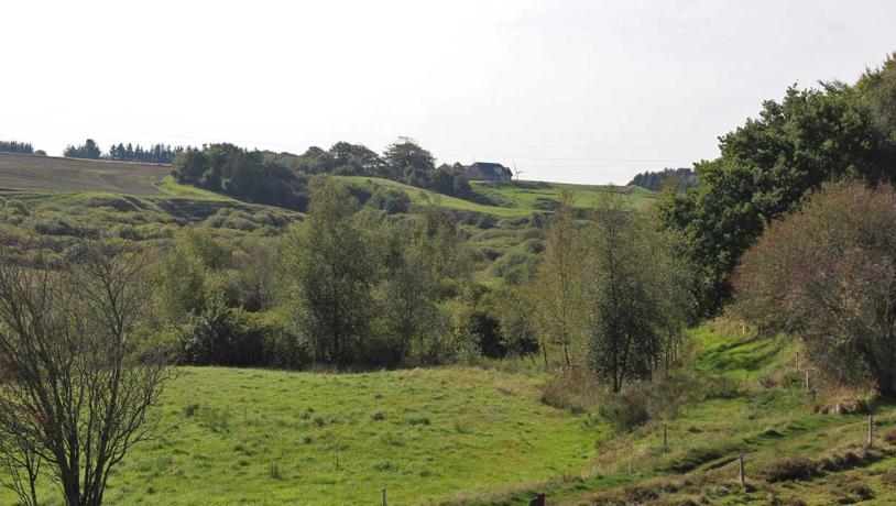 Fousing Valley