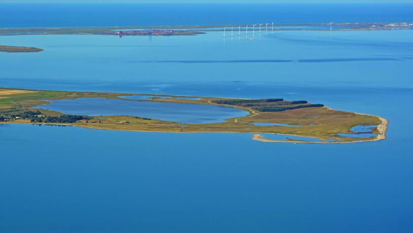 Gjellerodde - Limfjorden