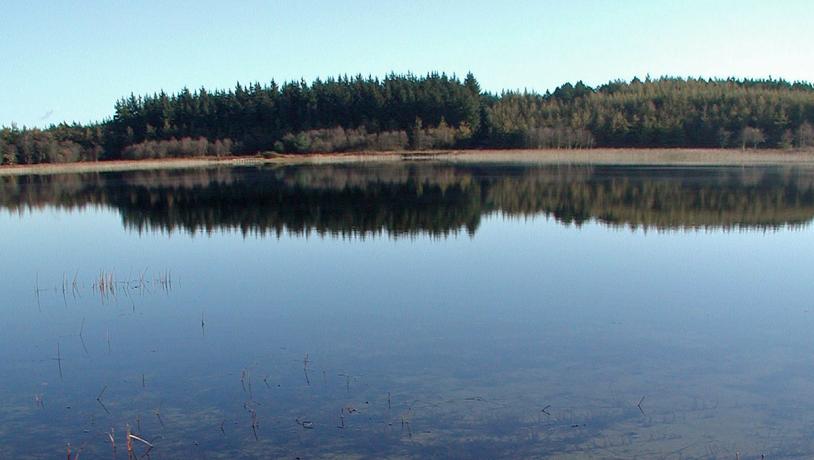 Skånsø