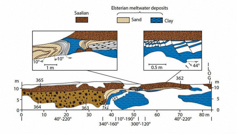 Nygaard Hage - folded sediments
