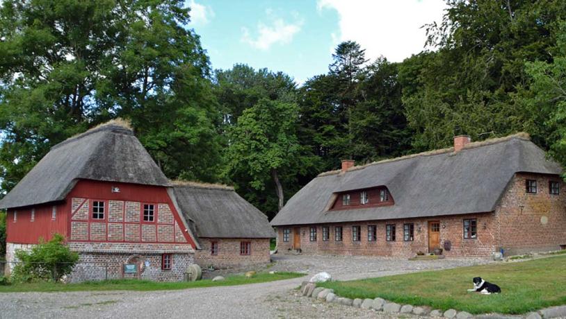 Trælborgdalen-Aamoelle