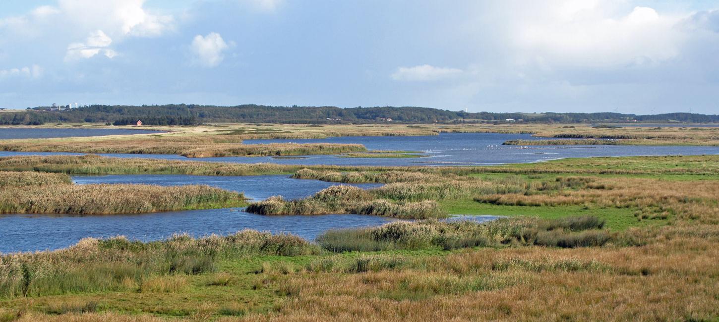 Geddal Strandenge