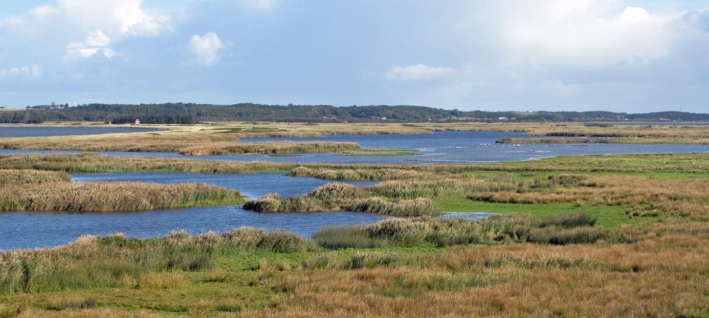 Geddal Strandenge 