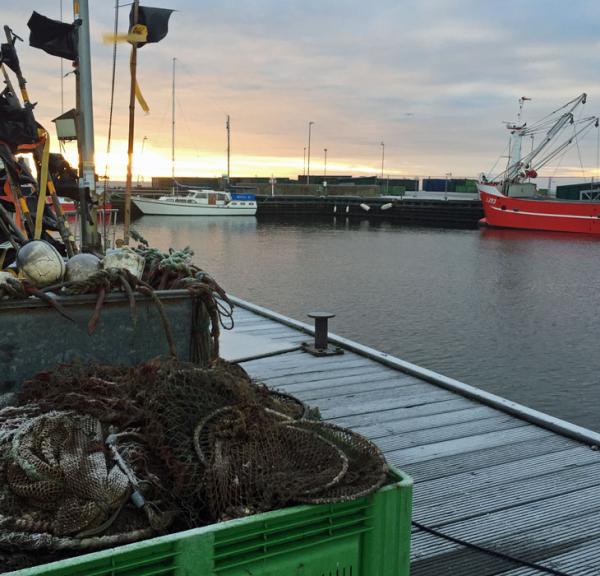 Jegindø Havn fiskeri