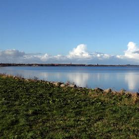 Venø bugt
