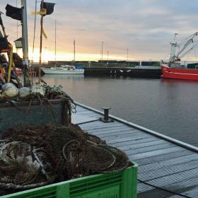 Jegindø Havn fiskeri